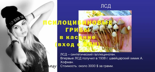 mdma Магас