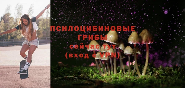 спайс Анива