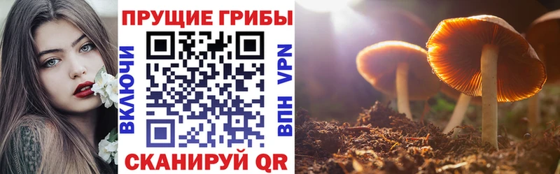Псилоцибиновые грибы мухоморы  kraken онион  Дыгулыбгей 